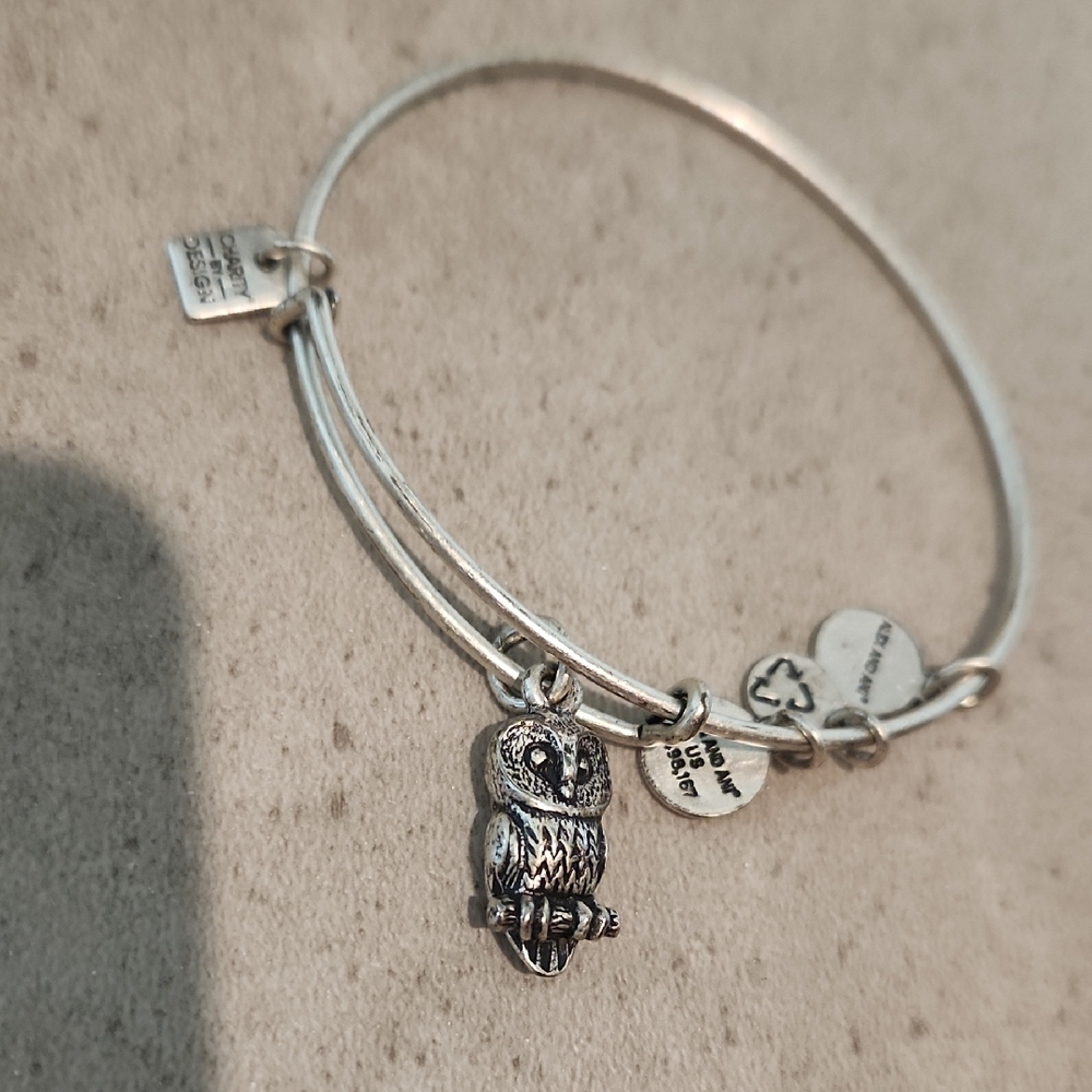 Alex and Ani Silver Owl Charm Bangle Bracelet